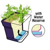 Mintra Garden - 6.75in Square Garden Pot - 3 of 4