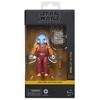 Star Wars The Black Series Neel (At Attin) - 2 of 4