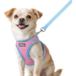rabbitgoo Dog Harness Small Sized Soft Walking Reflective Puppy Vest for Small Dogs, Pink & Light Blue, XXS - 1 of 1