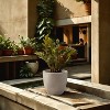 Rosemead Home & Garden, Inc. Concrete Outdoor Planter Pot Beige 14"x14" - 3 of 4