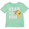 Disney Lion Guard Lion King Simba Timon Pumbaa Rafiki 3 Pack T-Shirts Toddler to Big Kid - 3 of 4