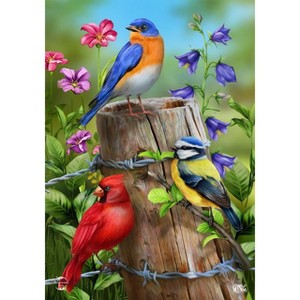Briarwood Lane Spring Garden Flag 12x18 For Outdoor Fence Post Birds For Spring Garden Flag Flags For Outside - 1 of 4