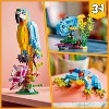  LEGO Creator 3 in 1 Exotic Parrot Building Toy Set, Creative  Building Toy Easter Basket Stuffer, Transforms from Colorful Parrot to  Swimming Fish to Cute Frog, Easter Gift for Kids Ages