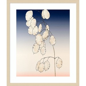 Amanti Art Money Plant II by Michael Willett Wood Framed Wall Art Print - 1 of 4