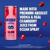 Absolut Ocean Spray Variety Cocktails - 8pk/355ml Cans - 3 of 4
