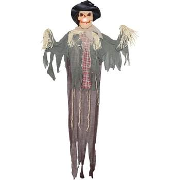 Sunstar Scarecrow LED Lighted Hanging Halloween Decoration - 72 in x 55 in - Multicolored