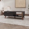 Vynxaria Elegant Coffee Table, Wengue Finish, Door & Open Storage, Two-Shelf Design - 3 of 4