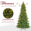 Vivatrees 12 Ft Prelit Artificial Christmas Tree With Warm White Lights , Metal Stand, Hinged Branches, Xmas Tree for Decor, Green - 3 of 4