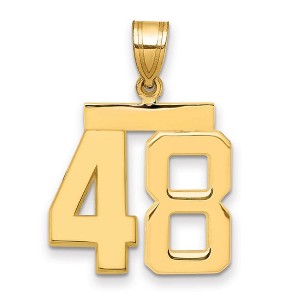Black Bow Jewelry 14k Yellow Gold, Athletic Collection Medium Polished Number 48 Pendant - 1 of 3