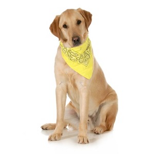 Mechaly Paisley Cotton Dog Scarf Triangle Bibs  - XL & Washable - 1 of 4