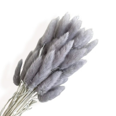 Alilang Dried Bunny Tail Grass Stems for Modern Home Decoration and Floral Arrangements, 23.5 Inches