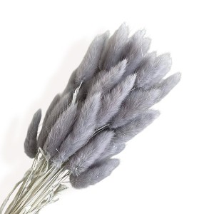 Alilang Dried Bunny Tail Grass Stems for Modern Home Decoration and Floral Arrangements, 23.5 Inches - 1 of 2