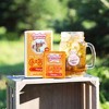 Southern Breeze Cold Brew Sweet Tea Variety Pack with 20 Individually Wrapped Tea Bags, Pack of 4 Blackberry, Mango, Mint and Watermelon - 80 Count - 4 of 4