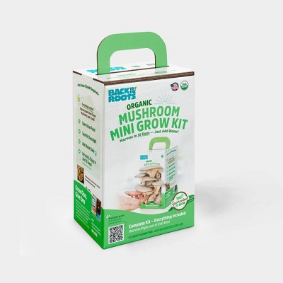 Back To The Roots Organic Terrarium Kids Grow Kit : Target