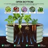 Raised Beds for Outdoor, Raised Garden Bed with Open Base, Tool-Free Assembly Planter Raised Boxes for Outdoor Vegetables & Flowers - 3 of 4