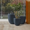 Rosemead Home & Garden 3pc Concrete Outdoor Planter Pot Black - 4 of 4