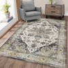 Washable Vintage Area Rug 6x9 Boho Chic Medallion Distressed Design Non-Shedding Easy Care Ideal for Living Room Bedroom Kitchen Office - 4 of 4