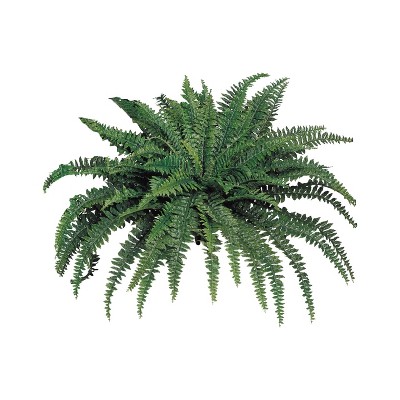 Floral Home 48" Boston Fern with 88 Lush Fronds - 2-Piece