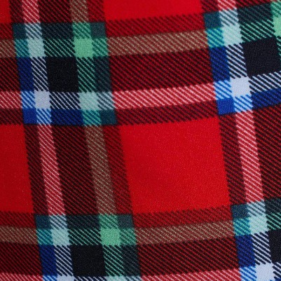 fun red plaid