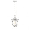 Millennium Lighting 1 - Light Pendant in  Galvanized - 2 of 3