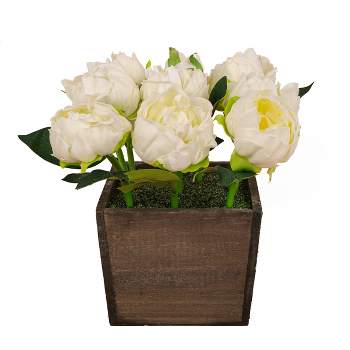 10" Artificial White Peony Arrangement in Wood Box - National Tree Company