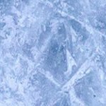 vegas golden knights