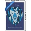 Trends International for KING & COUNTRY - Run Wild Framed Wall Poster Prints - 3 of 4