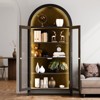 GlasFlength Decorative Storage Cabinets Modern Chic Organizer for Stylish Living Room Spaces, Black,30.71”*15.75”*70.87" - 3 of 4