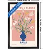 Trends International Reinders: Flowers - Plantes Fleurs Paris Framed Wall Poster Prints - 3 of 4