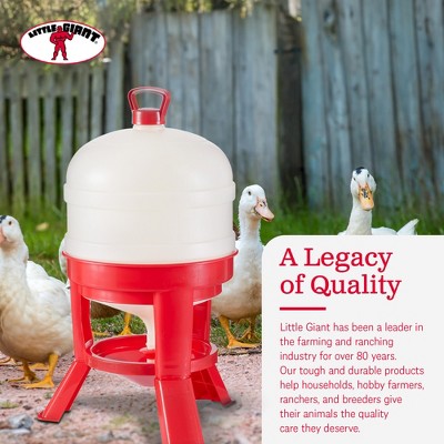 Heavy Duty Red and White 8 Gallon Poultry Waterer with Gravity-Fed Design