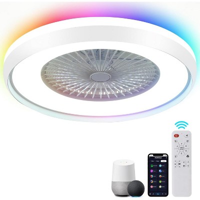 HUMHOLD 24 Inch Smart Ceiling Fan with Lights and Remote/APP Control