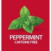 21st Century, Herbal Slimming Tea, Peppermint, Caffeine Free, 24 Tea Bags, 1.7 oz (48 g) - 4 of 4