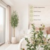 Olive Trees Artificial Indoor, Tall Faux Silk Plant White Planter, Fake Olive Trees with Natural Wood Trunk and Green Fake Moss for Home Office Decor - 2 of 4