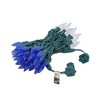 Novelty Lights C6 LED Christmas String Lights 70 Strawberry Bulbs (Green Wire, 24 Feet) - 3 of 4