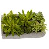 Succulent Garden Decor - Antique Style Planter with Live Plants - Home Office Shelf Decor - 2 of 4