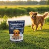 Country Living 6” Beef Trachea Dog Chews – 10 Count Bag – All-Natural, Single-Ingredient, Long-Lasting Dog Treats - 2 of 4