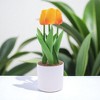 Unique Bargains Artificial Plants Tulip Plastic 3.15"x3.15"x9.84" 1 Pcs - 2 of 4
