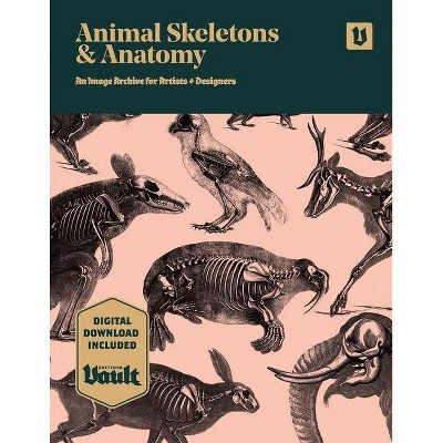 Animal Skeletons and Anatomy - by  James Kale (Paperback)