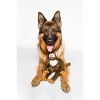 Fluff & Tuff Albert Monkey Plush Dog Toy - 4 of 4