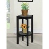 23.5" Newport Medium 2 Tier Plant Stand - Breighton Home - 2 of 4