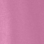 mauve orchid