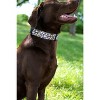 Country Brook Petz® Deluxe Dog Collar - Country and Western Collection - Made In The U.S.A. - 2 of 4
