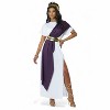 California Costumes Goddess Toga Adult Costume - 3 of 4