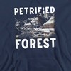 Men's Petrified Forest National Park Majestic Blue Mesa Pull-Over Hoodie - 2 of 4