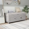 Whisen Storage Bench with 3-Shutter-shaped Doors and Removable Cushion - 3 of 4