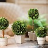 Plum & Post Boxwood Mini Faux (Fake) Topiaries In Pots Set of 5 - 3 of 3