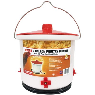 Farm Innovators Heated 2 Gallon Plastic Chicken Water Bucket Drinker Nipple Waterer - White/Red