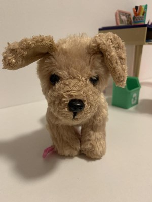Dog Toys – Pomiez.world Shop
