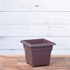 Novelty Countryside Plastic Square Tub Planter - 4 of 4