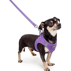 rabbitgoo Dog Harness Small Sized and Leash Set, Breathable Mesh Pet Harness, Reflective for Outdoor Safe Walking, Purple XXXS - 1 of 1